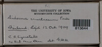 Image Associated With the Occurence